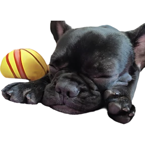 Мася — стикер для MAX
