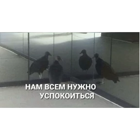 Катлета — стикер для MAX