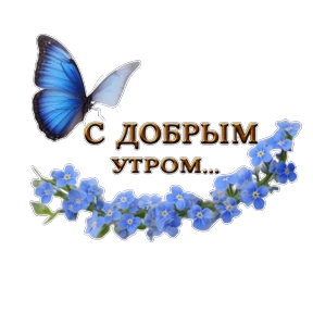 Доброе утро — стикер для MAX