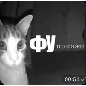 Никуля — стикер для MAX