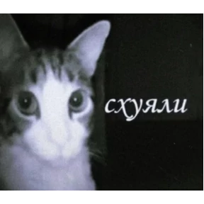 Никуля — стикер для MAX