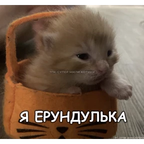 мемсовет — стикер для MAX