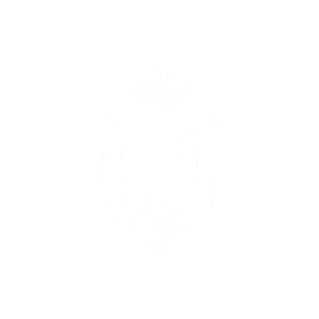 ZAGOSKIN.ONLINE — стикер для MAX