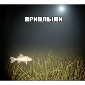 Львята — стикер для MAX