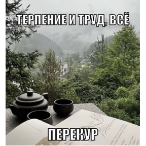 Львята — стикер для MAX
