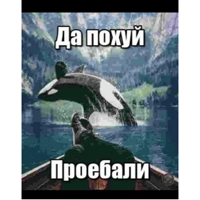 Львята — стикер для MAX