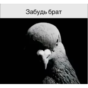 Стикер