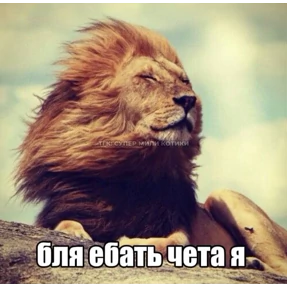 Львята — стикер для MAX