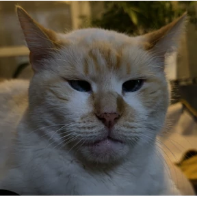Вася — стикер для MAX