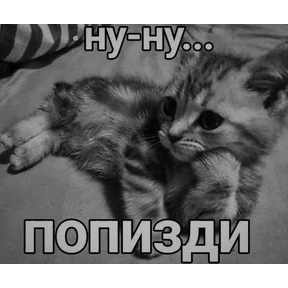 hehe — стикер для MAX