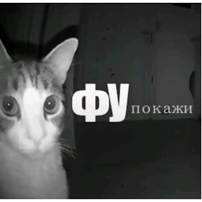 hehe — стикер для MAX