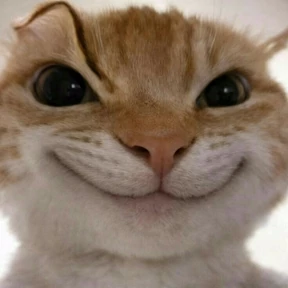 hehe — стикер для MAX