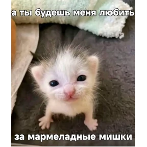 hehe — стикер для MAX