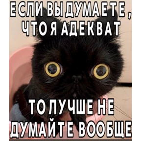 hehe — стикер для MAX