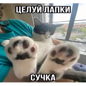 hehe — стикер для MAX