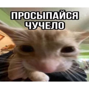 hehe — стикер для MAX