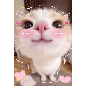 hehe — стикер для MAX