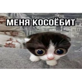 hehe — стикер для MAX