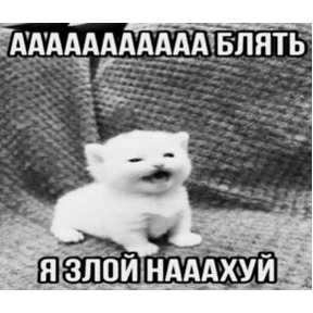 hehe — стикер для MAX