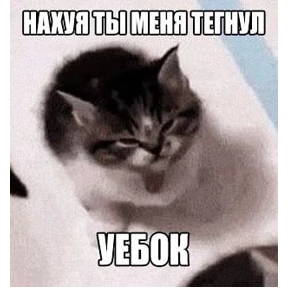 hehe — стикер для MAX