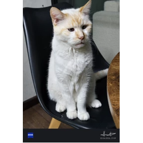 Вася — стикер для MAX