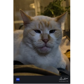 Вася — стикер для MAX