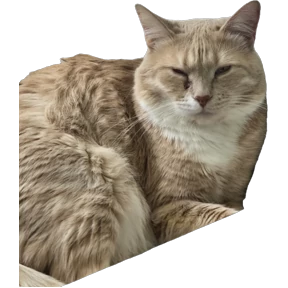 Рыжий — стикер для MAX