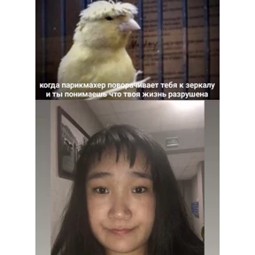 Мы — стикер для MAX