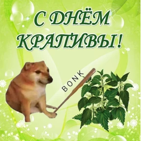 День дня — стикер для MAX