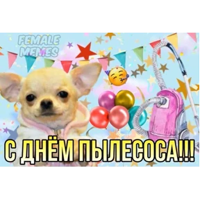 День дня — стикер для MAX