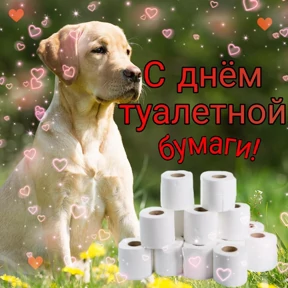 День дня — стикер для MAX