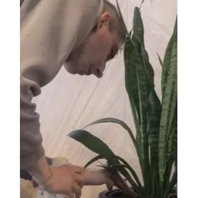ЭП — стикер для MAX