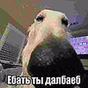 СДВП 2 — стикер для MAX