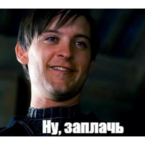 СДВП 2 — стикер для MAX