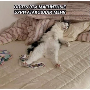 На мурмулях — стикер для MAX
