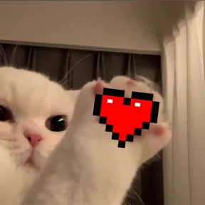 Котики — стикер для MAX