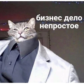 Котики — стикер для MAX