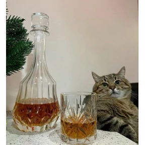 Котики — стикер для MAX