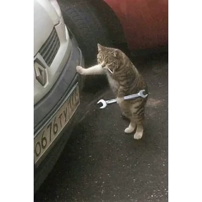 Котики — стикер для MAX