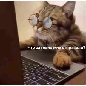 Котики — стикер для MAX