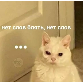 Мемасики — стикер для MAX