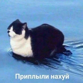 Мемасики — стикер для MAX