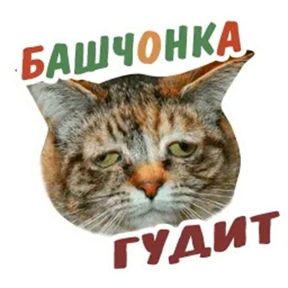 Мэмчики — стикер для MAX