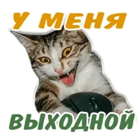 Мэмчики — стикер для MAX