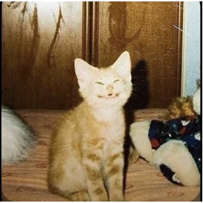 Сашин эксклюзивный — стикер для MAX