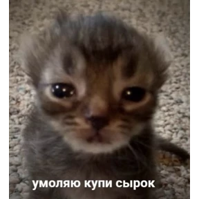 Сашин эксклюзивный — стикер для MAX