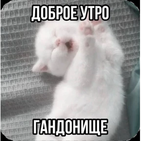 @pupupu — стикер для MAX