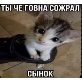 @pupupu — стикер для MAX