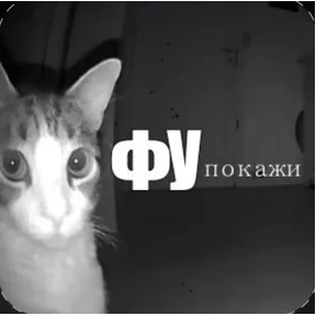 @pupupu — стикер для MAX