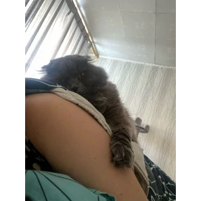 Мое — стикер для MAX